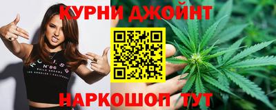 мяу мяу мука Аргун